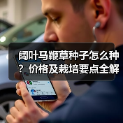 阔叶马鞭草种子怎么种?价格及栽培要点全解析(图1) 阔叶马鞭草种子怎么种?价格及栽培要点全解析(图1)