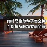 阔叶马鞭草种子怎么种?价格及栽培要点全解析(图2) 阔叶马鞭草种子怎么种?价格及栽培要点全解析(图2)