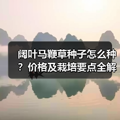 阔叶马鞭草种子怎么种?价格及栽培要点全解析(图4) 阔叶马鞭草种子怎么种?价格及栽培要点全解析(图4)
