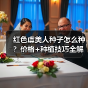 红色虞美人种子怎么种？价格+种植技巧全解析（图1）