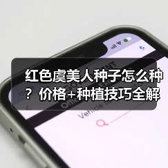 红色虞美人种子怎么种？价格+种植技巧全解析（图3）