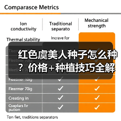 红色虞美人种子怎么种？价格+种植技巧全解析（图4）
