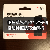 肥皂草怎么种？种子价格与种植技巧全解析（图2）
