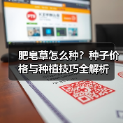 肥皂草怎么种？种子价格与种植技巧全解析（图4）
