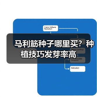 马利筋种子哪里买？种植技巧发芽率高（图3）