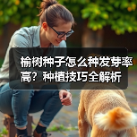 榆树种子怎么种发芽率高?种植技巧全解析(图2) 榆树种子怎么种发芽率高?种植技巧全解析(图2)