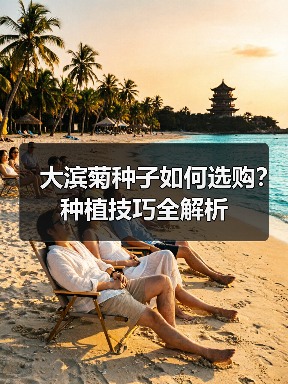 大滨菊种子如何选购?种植技巧全解析(图2) 大滨菊种子如何选购?种植技巧全解析(图2)