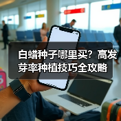 白蜡种子哪里买？高发芽率种植技巧全攻略（图1）