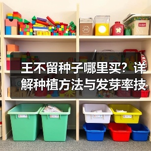 王不留种子哪里买？详解种植方法与发芽率技巧（图1）