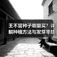 王不留种子哪里买?详解种植方法与发芽率技巧(图3) 王不留种子哪里买?详解种植方法与发芽率技巧(图3)