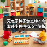 无患子种子怎么种？高发芽率种植技巧全解析（图4）