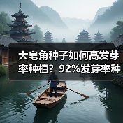 大皂角种子如何高发芽率种植？92%发芽率种植技巧全解析（图4）