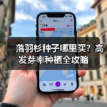 落羽杉种子哪里买？高发芽率种植全攻略（图1）