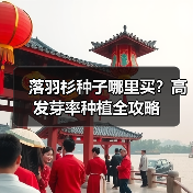 落羽杉种子哪里买？高发芽率种植全攻略（图4）