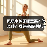 凤凰木种子哪里买？怎么种？发芽率高种植方法全解析（图2）
