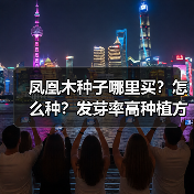 凤凰木种子哪里买？怎么种？发芽率高种植方法全解析（图1）