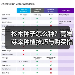 杉木种子怎么种？高发芽率种植技巧与购买指南（图1）