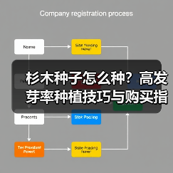 杉木种子怎么种？高发芽率种植技巧与购买指南（图3）