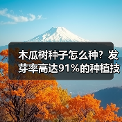木瓜树种子怎么种？发芽率高达91%的种植技巧揭秘（图3）