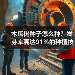 木瓜树种子怎么种？发芽率高达91%的种植技巧揭秘（图4）