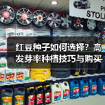 红豆种子如何选择?高发芽率种植技巧与购买指南(图2) 红豆种子如何选择?高发芽率种植技巧与购买指南(图2)