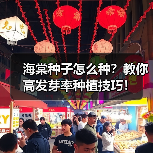 海棠种子怎么种？教你高发芽率种植技巧！（图2）