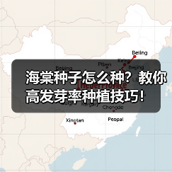 海棠种子怎么种？教你高发芽率种植技巧！（图4）