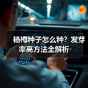 杨梅种子怎么种？发芽率高方法全解析（图2）