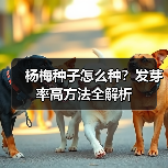 杨梅种子怎么种？发芽率高方法全解析（图1）