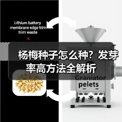 杨梅种子怎么种？发芽率高方法全解析（图4）
