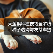 大金果种植技巧全解析：种子选购与发芽率提升方法（图1）