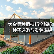 大金果种植技巧全解析：种子选购与发芽率提升方法（图4）