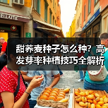 甜荞麦种子怎么种？高发芽率种植技巧全解析（图3）