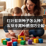 红叶紫荆种子怎么种？发芽率高种植技巧全解析（图1）