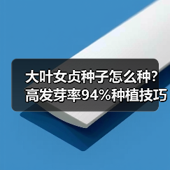 大叶女贞种子怎么种？高发芽率94%种植技巧（图1）