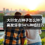 大叶女贞种子怎么种?高发芽率94%种植技巧(图3) 大叶女贞种子怎么种?高发芽率94%种植技巧(图3)