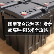 哪里买合欢种子？发芽率高种植技术全攻略（图4）