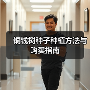 铜钱树种子种植方法与购买指南（图1）
