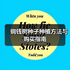 铜钱树种子种植方法与购买指南（图3）