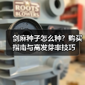 剑麻种子怎么种？购买指南与高发芽率技巧（图3）