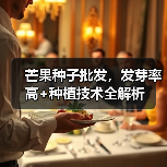 芒果种子批发，发芽率高+种植技术全解析（图2）