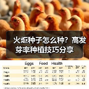 火炬种子怎么种？高发芽率种植技巧分享（图2）