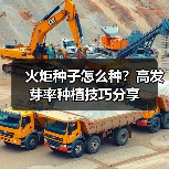 火炬种子怎么种？高发芽率种植技巧分享（图1）