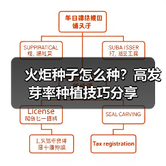 火炬种子怎么种？高发芽率种植技巧分享（图4）
