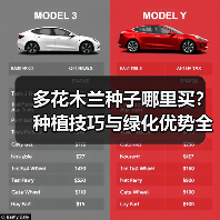 多花木兰种子哪里买?种植技巧与绿化优势全解析(图2) 多花木兰种子哪里买?种植技巧与绿化优势全解析(图2)