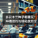 多花木兰种子哪里买？种植技巧与绿化优势全解析（图1）