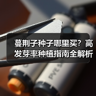 蔓荆子种子哪里买?高发芽率种植指南全解析(图2) 蔓荆子种子哪里买?高发芽率种植指南全解析(图2)