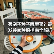 蔓荆子种子哪里买?高发芽率种植指南全解析(图1) 蔓荆子种子哪里买?高发芽率种植指南全解析(图1)