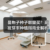 蔓荆子种子哪里买？高发芽率种植指南全解析（图4）