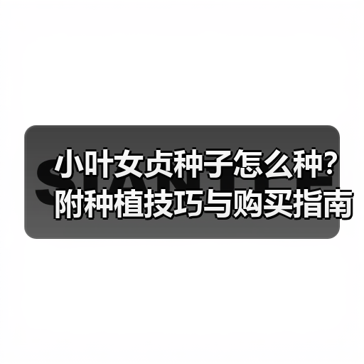 小叶女贞种子怎么种?附种植技巧与购买指南(图3) 小叶女贞种子怎么种?附种植技巧与购买指南(图3)
